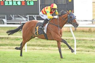 Charmont takes out the Listed Wairarapa Thoroughbred Breeders' Stakes. Photo: Race Images Palmerston North.